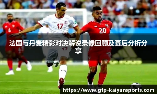 法国与丹麦精彩对决解说录像回顾及赛后分析分享